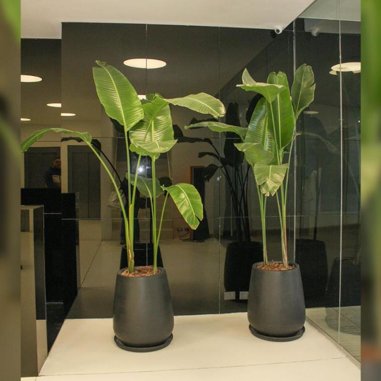 BOLI0804 Increíble Dúplex en San Telmo con balcón - Apartamento de 1 dormitorio - 32