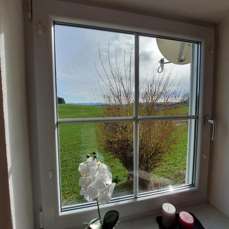 Bauer Haug - Apartment mit Blick auf die Berge - 5