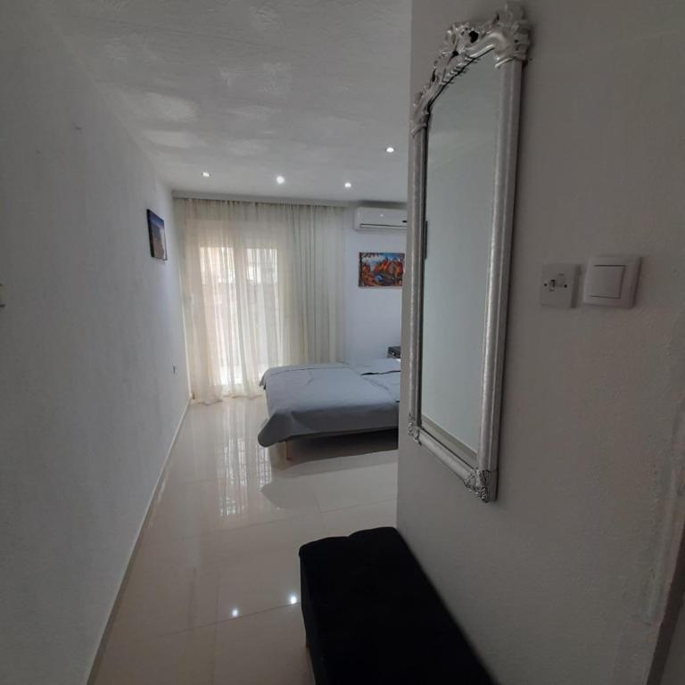 Becic Apartments - Deluks Dvokrevetna Soba sa Bračnim Krevetom - 8