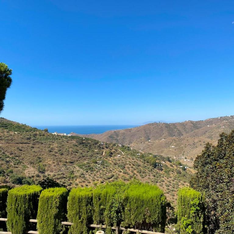 Cortijo Navas - Villa - 13