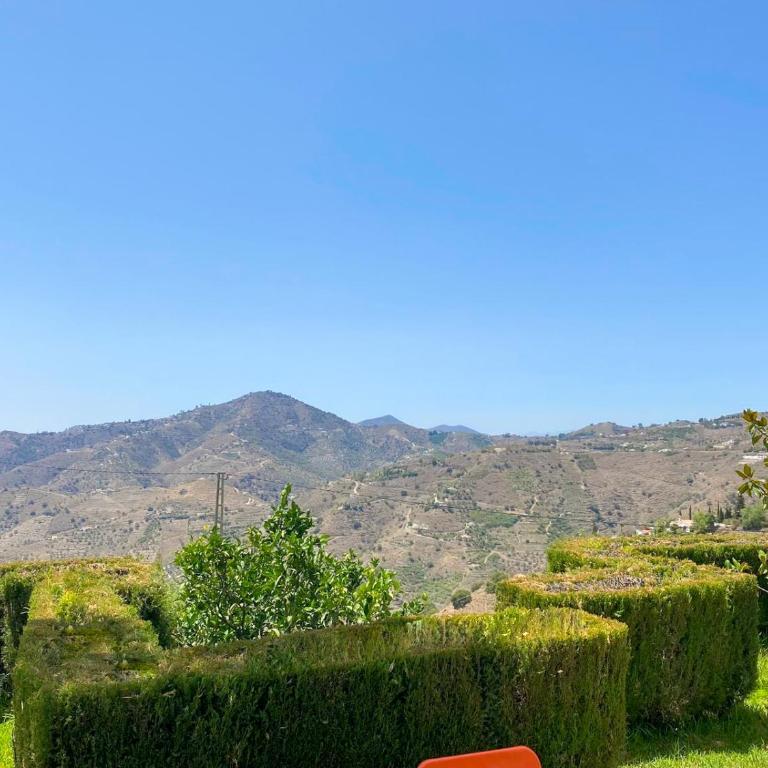 Cortijo Navas - Villa - 21