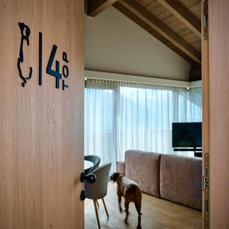 Haus am Lift - Penthouse - TOP4 - Summercard included - Ski-in Ski-out - 6P - Penthouse-Apartment - 30