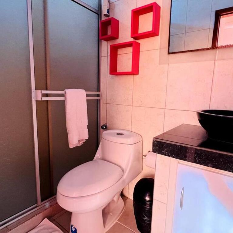Jardin de Galápagos - Apartamento de 3 dormitorios - 2
