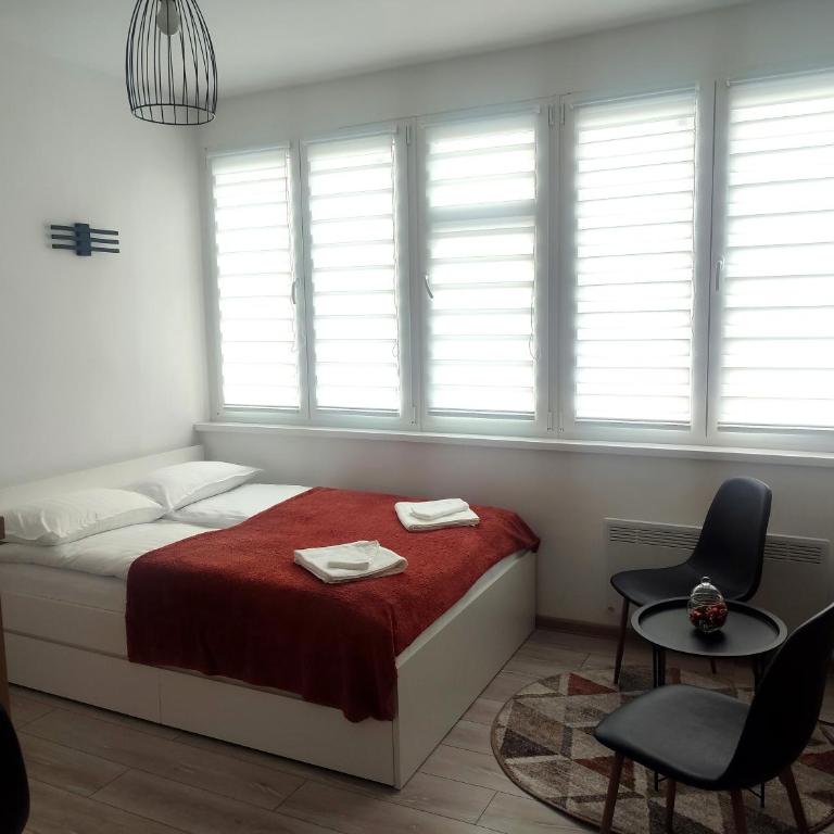 City Center Apartment Sarajevo - Apartman sa 1 Spavaćom Sobom - 7