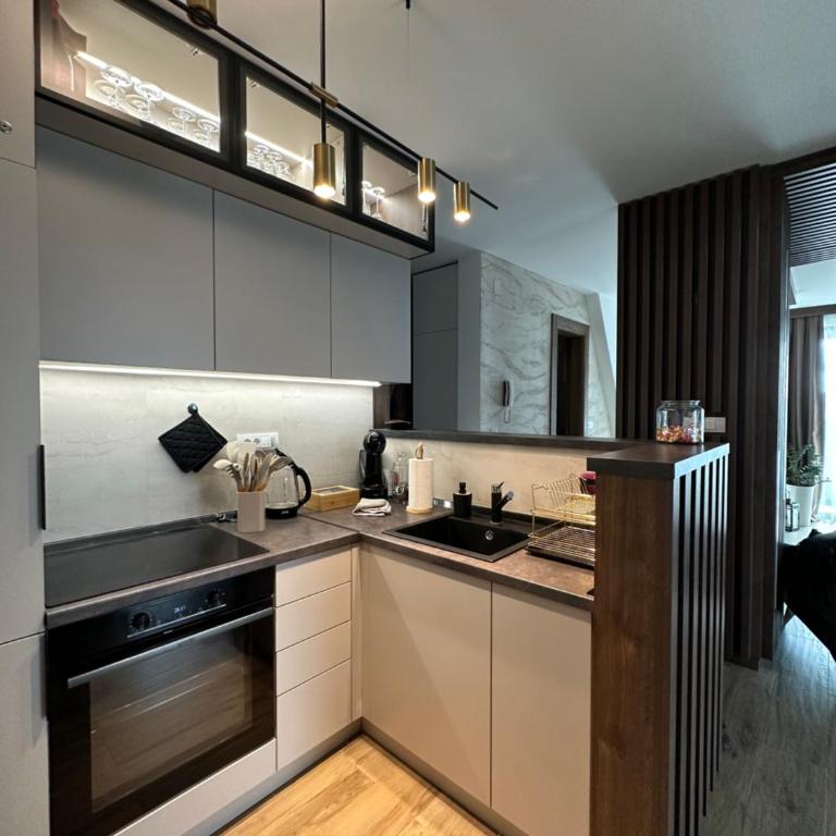 BOROVI PREMIUM wellness&spa - Apartman sa 2 Spavaće Sobe - 7