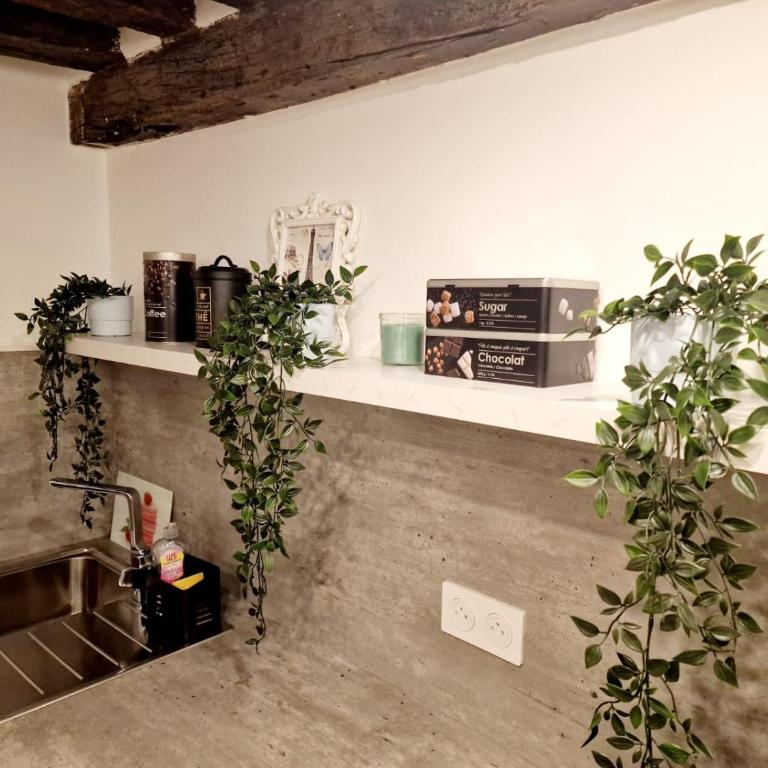 Appartement au coeur du Paris. - Appartement en Duplex - 9