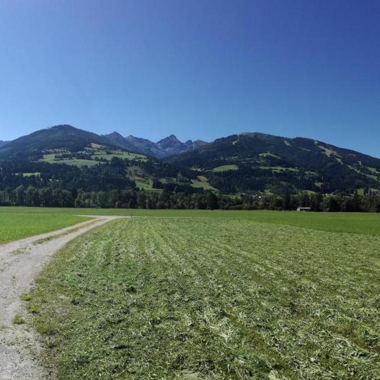 Chalet Lärchforst - Ferienhaus - 11