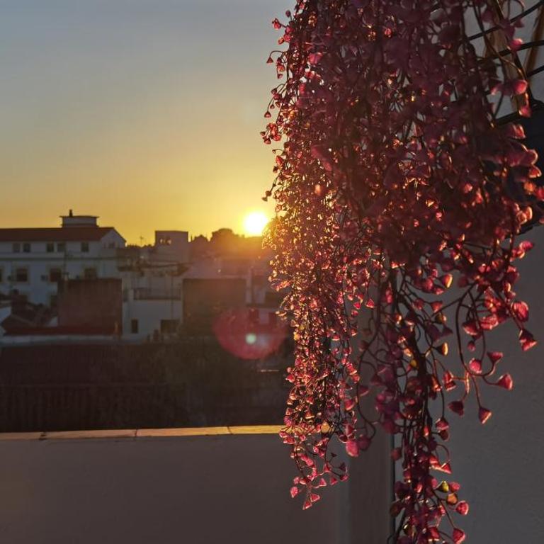 La luz de San Eloy - Apartamento de 3 dormitorios - 3