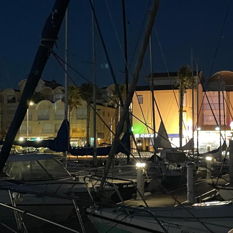 Symbiose sur l’eau Gruissan - Mobile Home - 17