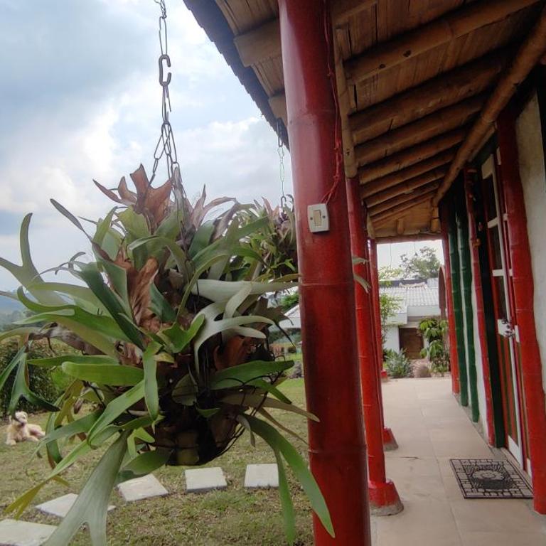 Cabaña Eje Cafetero, Sauna terapéutico - Chalet de 1 dormitorio - 11