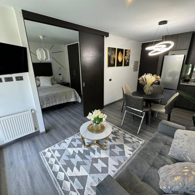 Nuevo Depto en ubicación privilegiada - Apartment with Terrace - 7