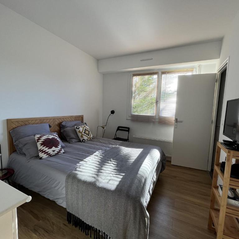 Superbe T2 avec balcon et parking, idéalement situé à Arcachon - FR-1-374-200 - Appartamento - 7
