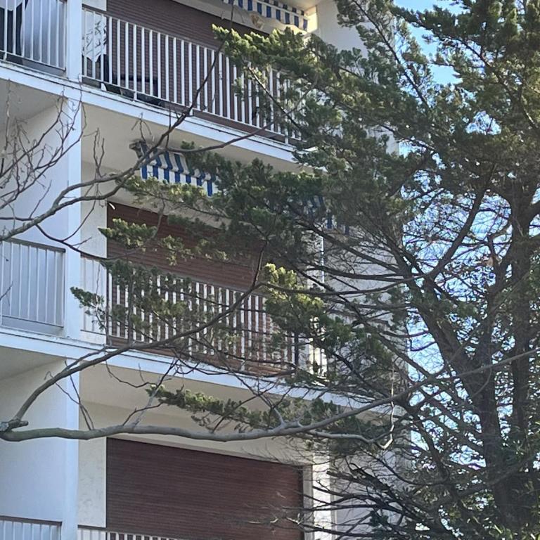 Superbe T2 avec balcon et parking, idéalement situé à Arcachon - FR-1-374-200 - Appartamento - 20