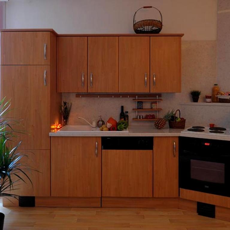 Appartements Le Clos des Gentianes - Apartment mit 3 Schlafzimmern - 3