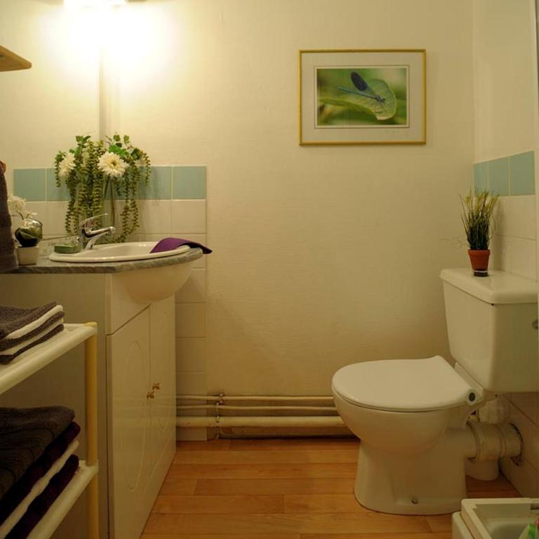 Appartements Le Clos des Gentianes - Apartment mit 3 Schlafzimmern - 8