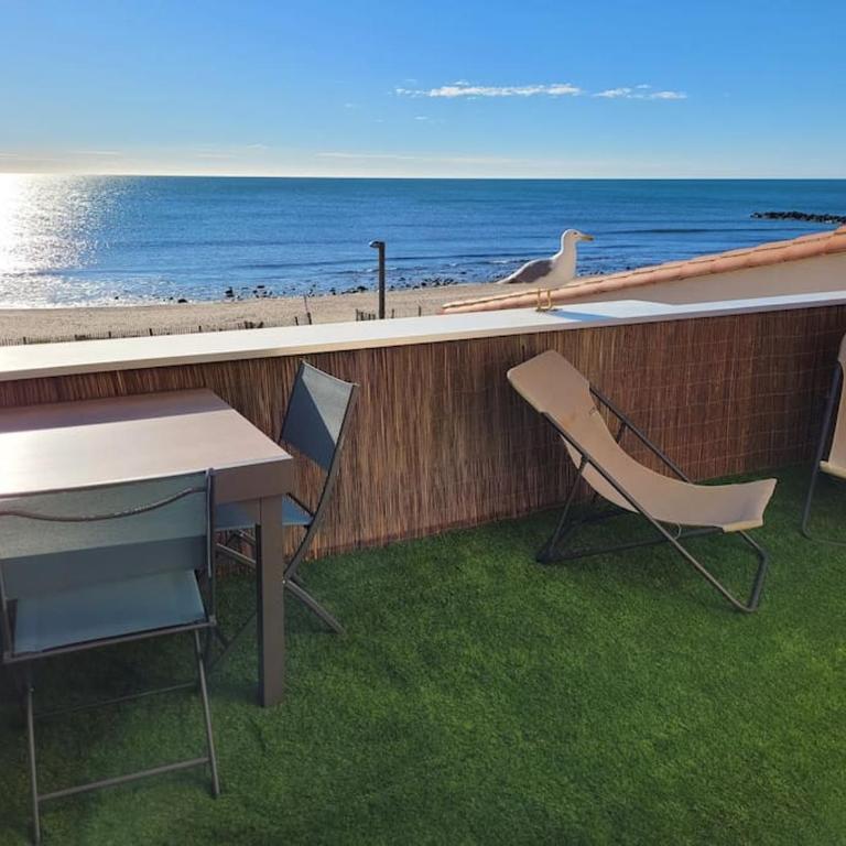 Front de mer, vue à 180° sur la méditerranée, accès direct plage - Appartement 1 Chambre - 1