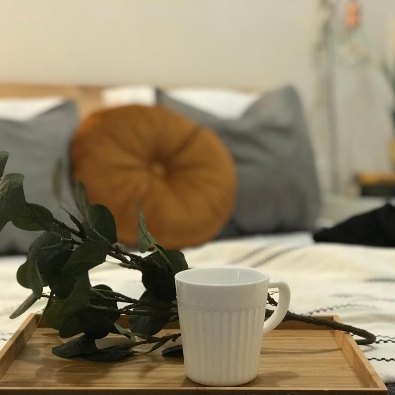 FIKA FLAT Casco Viejo PARKING 20 euro x día - Apartment - 10