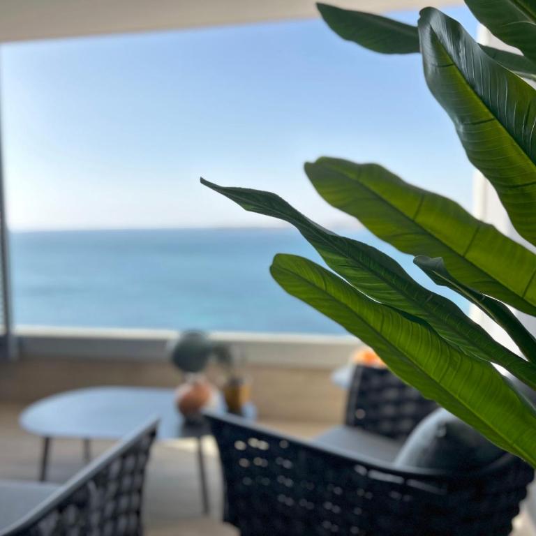 POSIDONIA Prestige Apartment PUNTA PRIMA - Apartamento de 3 dormitorios - 7