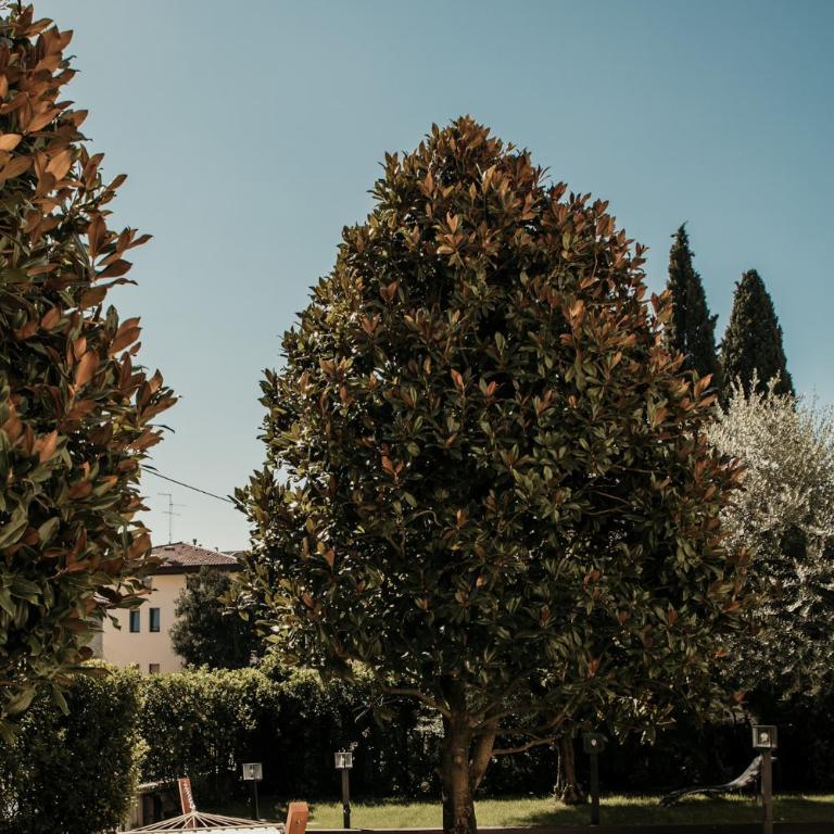 Naboo Verona Luxury Suites - Camera Matrimoniale Deluxe - 25