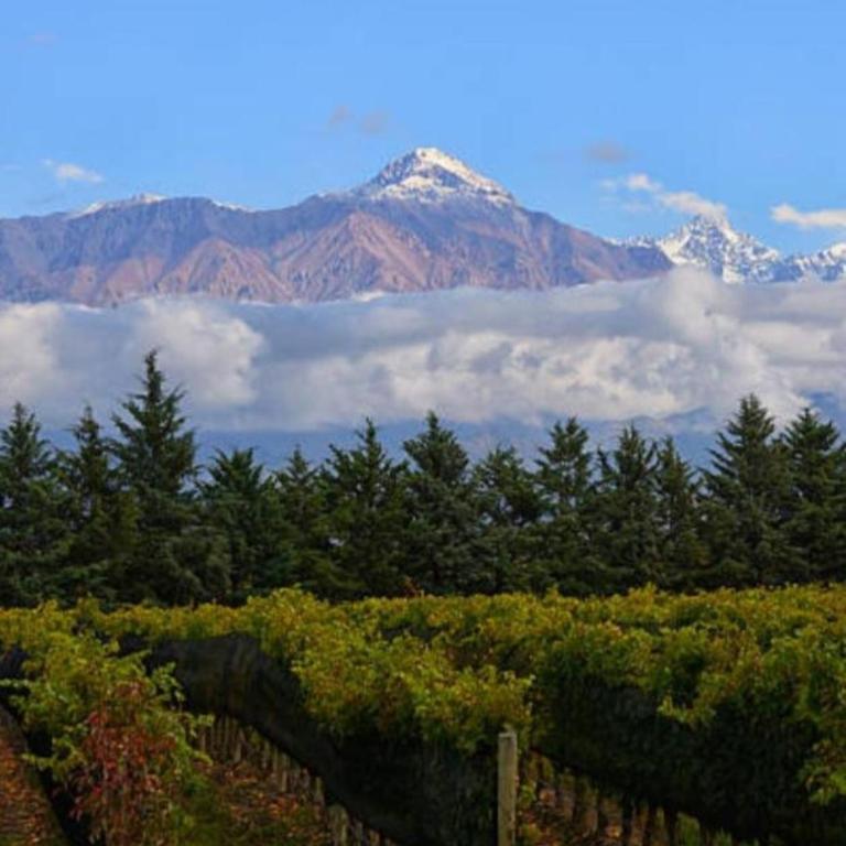 Estudio Rufina I Mendoza downtown - Studio Apartment - 14