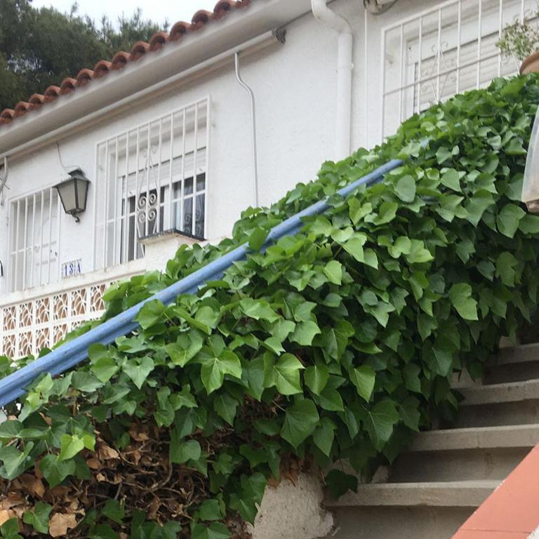 Cuenca - Apartamento de 1 dormitorio - 1