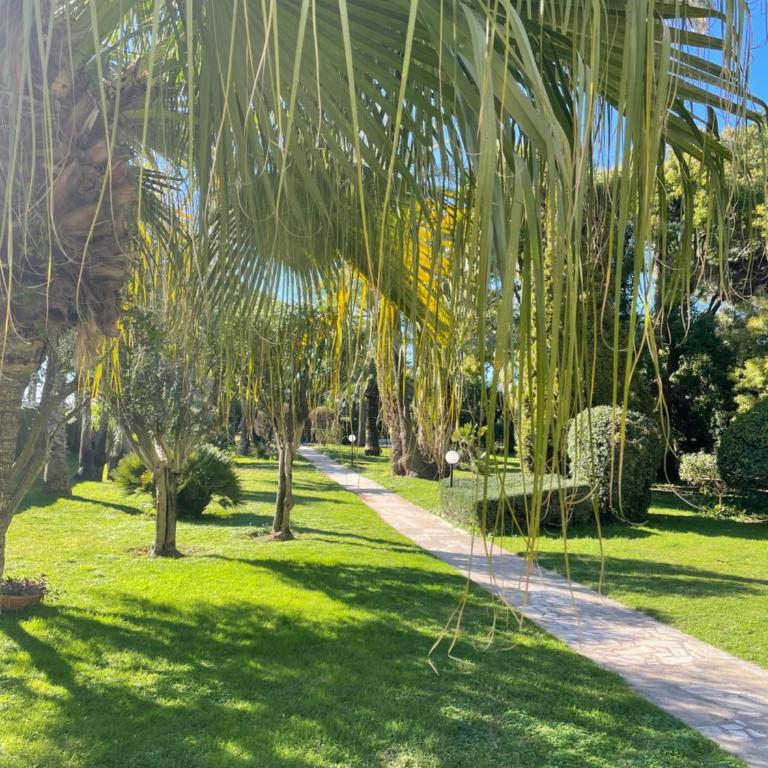 Le Week Riviera III -3 stars-Grande terrasse-Plage du midi-Piscine-Cannes- Palais des Festivals- Parking - Appartement 1 Chambre - 7