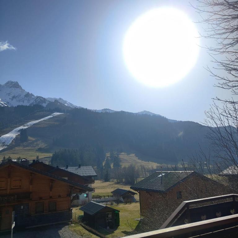 Chalet l Abondance - Chalet - 24