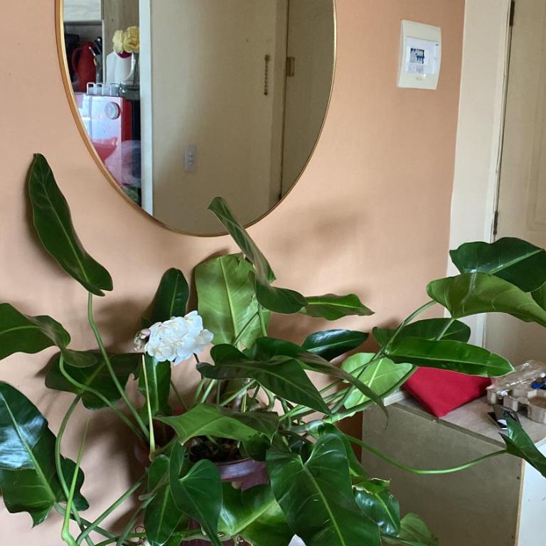 Departamento Centro Curicó - Apartamento de 3 dormitorios - 24