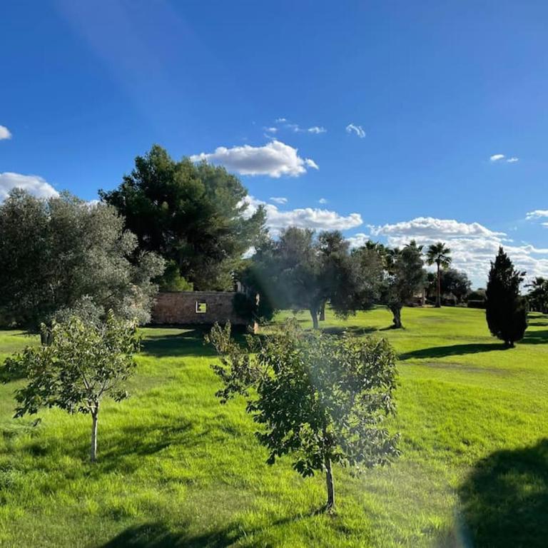 Villa Cas Mariné mit beheizb. Pool und Außenküche - Villa - 21