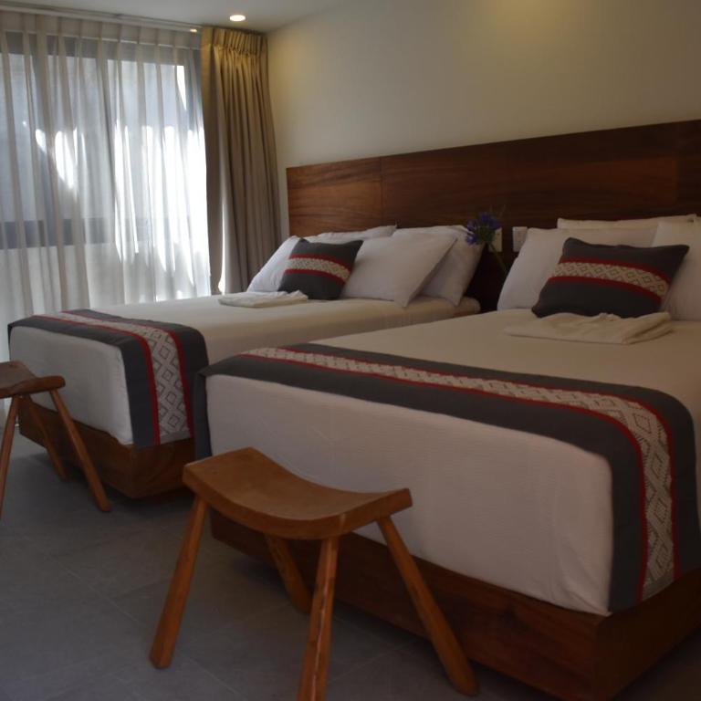 Punta Agave Suites - Suite - 2