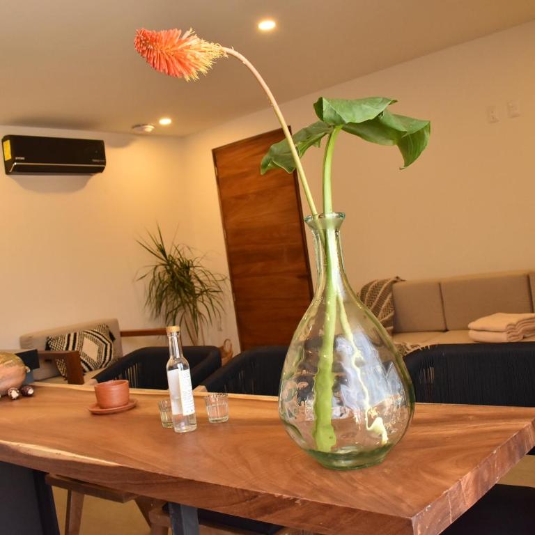 Punta Agave Suites - Suite Deluxe con cama extragrande - 6