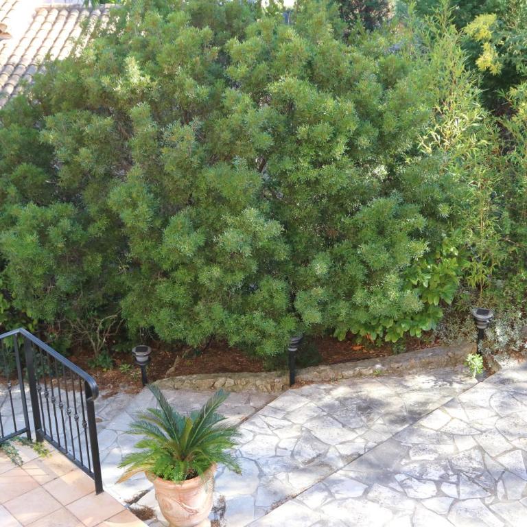 esterel-plage - Villa Supérieure - 13