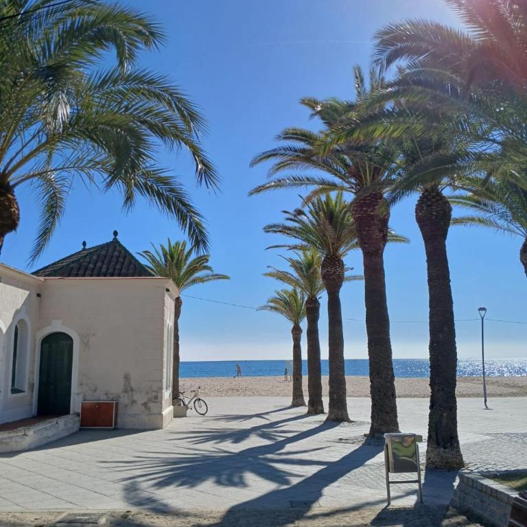 Tranquilo piso en Torredembarra - Apartamento de 2 dormitorios - 26