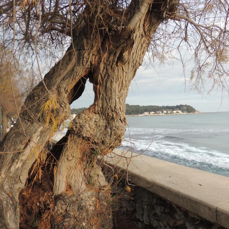 Agreable T2 1 chambre plage à 4 mn CLIM Parking Wifi - Appartement 1 Chambre - 67