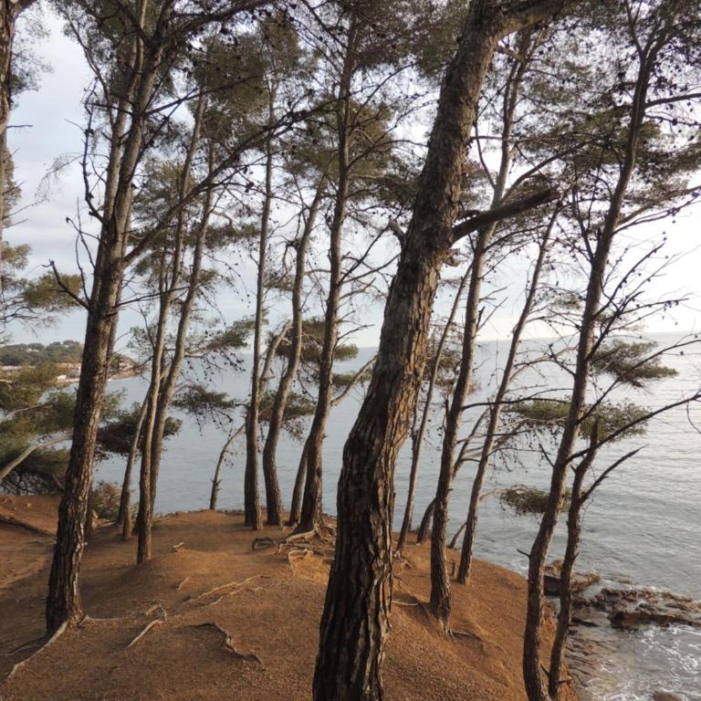 Agreable T2 1 chambre plage à 4 mn CLIM Parking Wifi - Appartement 1 Chambre - 62