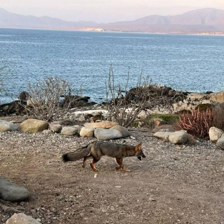La casa del Mar en Guanaqueros! - Casa de 5 dormitorios - 8