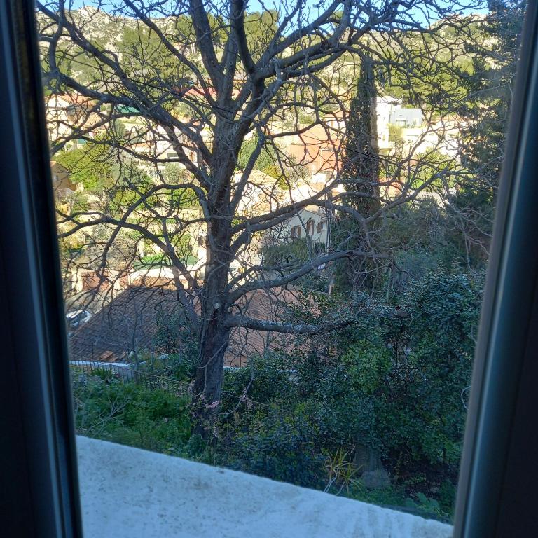 Petit studio parmi les pins et les cypres - Appartement 1 Chambre - 23