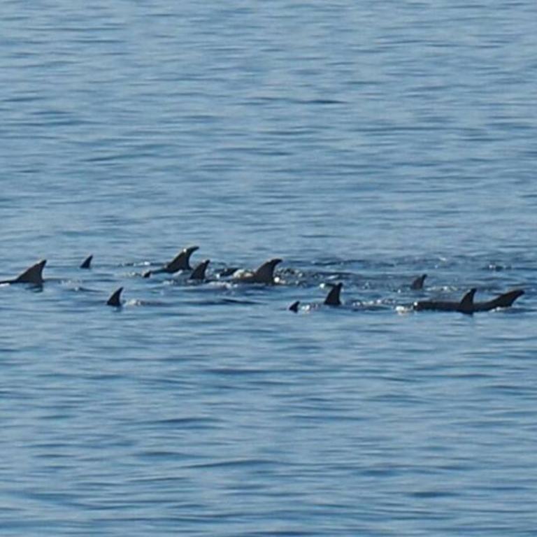 La casa del Mar en Guanaqueros! - Casa de 5 dormitorios - 30