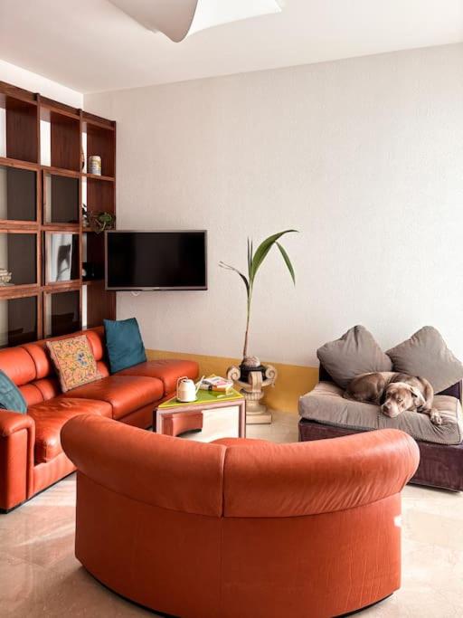 Giallo Lame - Appartamento con 2 Camere da Letto - 22