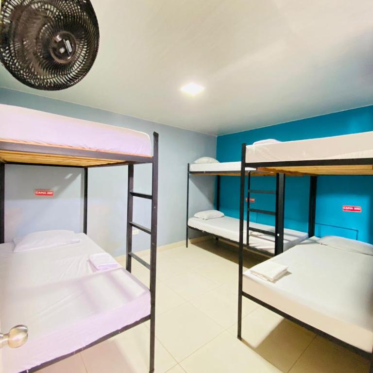 Havana Hostel Cali & Dance School - Cama en habitación compartida mixta de 6 camas - 3