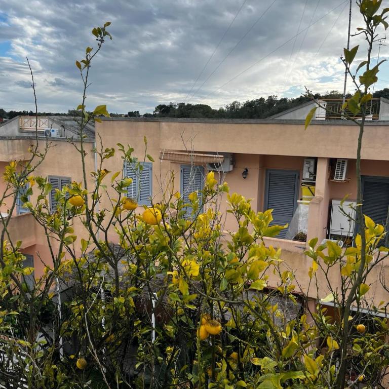 Przystań Adriatyk Świetna Lokalizacja - Casa con 3 Camere da Letto - 43