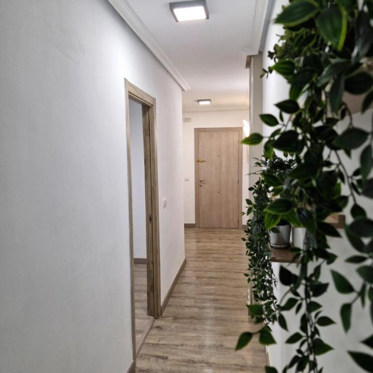 Feeling Home Catedral - Apartamento de 2 dormitorios - 19