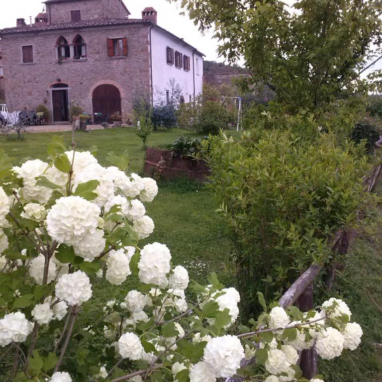 Agriturismo Villalba - Appartamento con 1 Camera da Letto - 18
