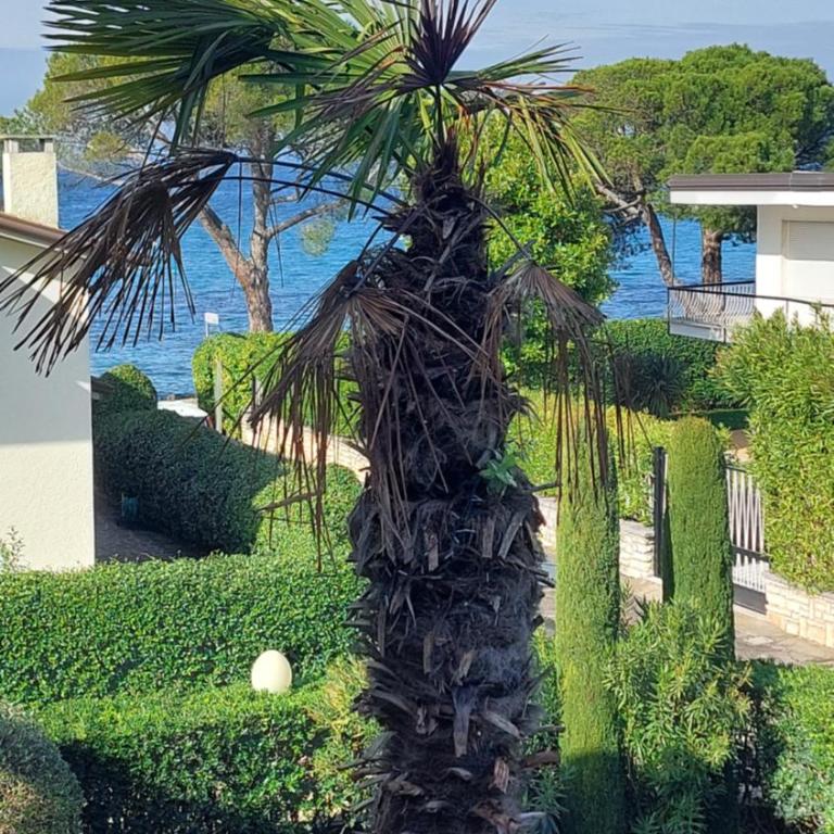 Magnolia Holiday Apartment - Appartamento con Vista Lago - 17