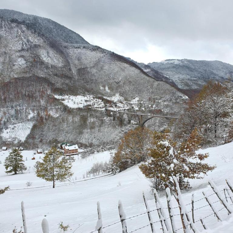 Etno Villas Tara&Petra - Two-Bedroom Villa - 36