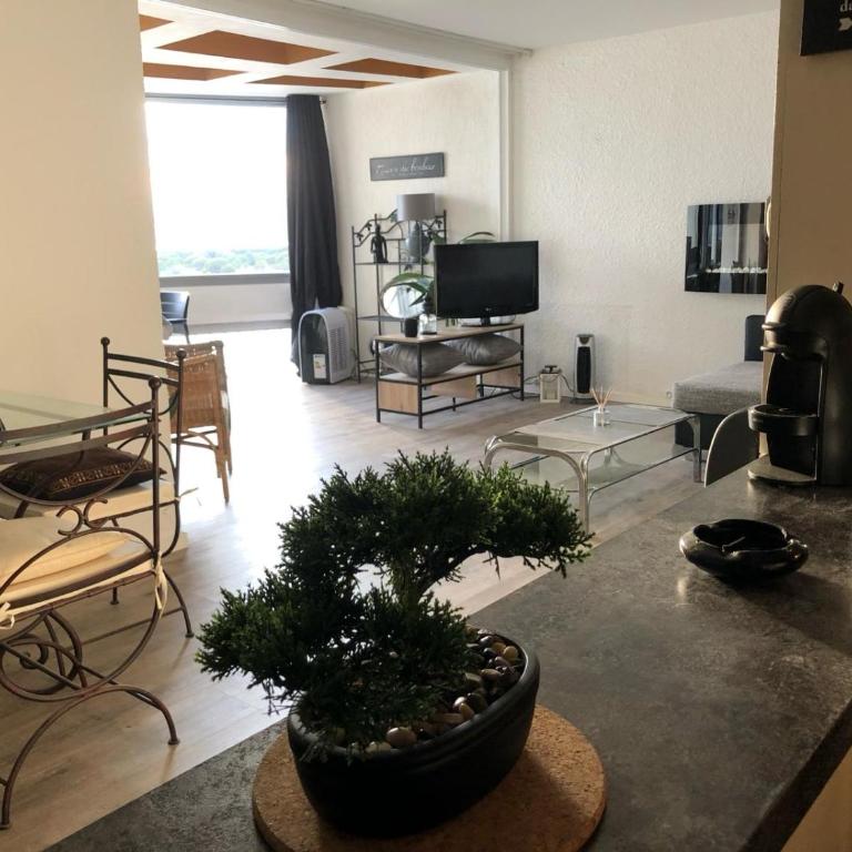 Unique appartement standing 70m2 !entre lagune port animé et à 2mn de la plage - Appartement 2 Chambres - 7