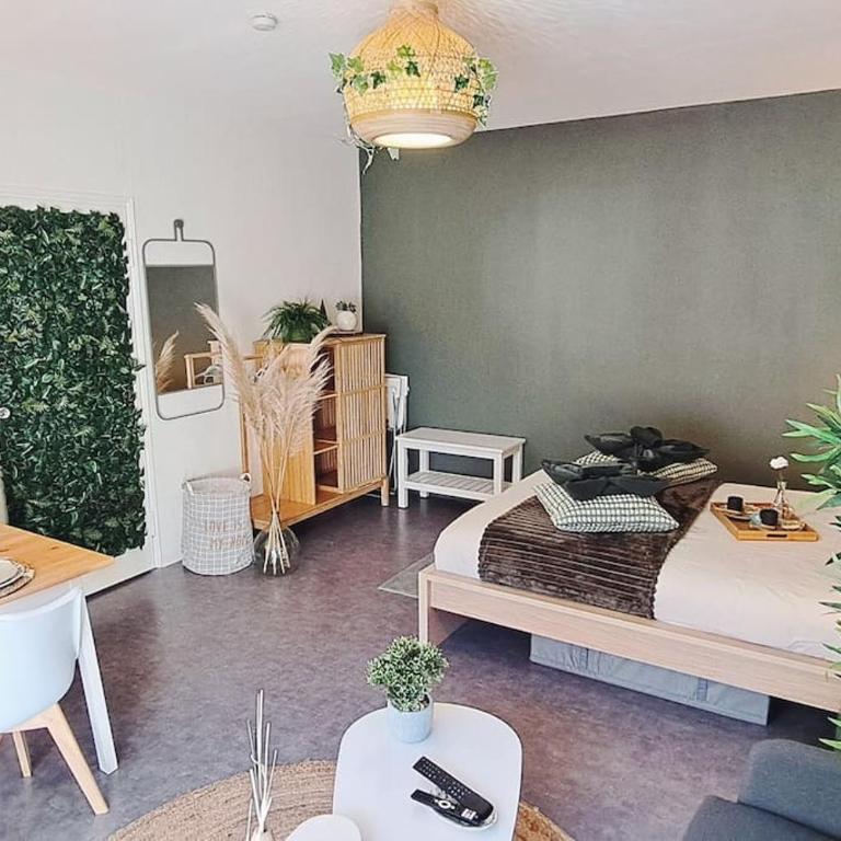 Petit cocon nature centre-ville - Appartamento con 1 Camera da Letto - 4