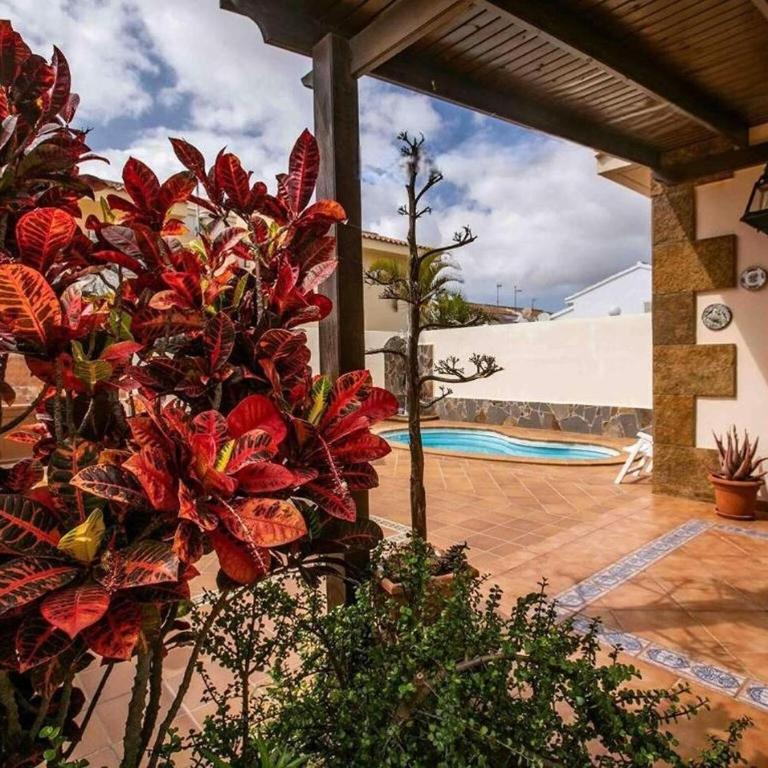 Villa in Corralejo near Playa de Palomitas - Villa de 3 dormitorios - 29