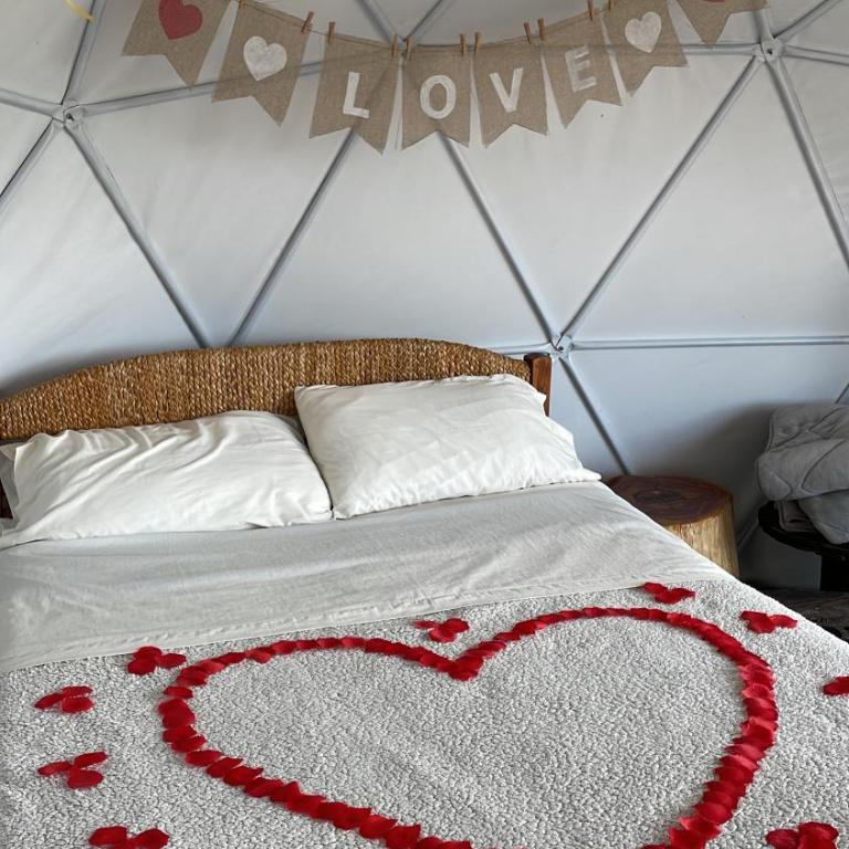 Juncos Glamping - Habitación Deluxe - 1 cama grande - 11