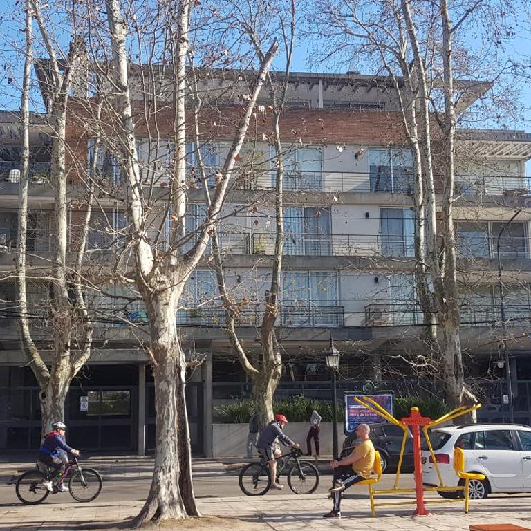 Tigre Studio Apartment - Estudio - 52